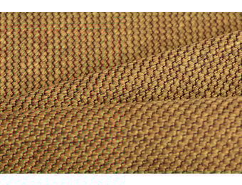 Celsius Cannoli Bronze