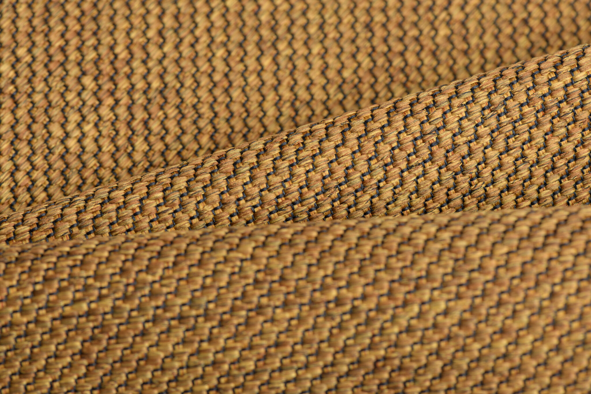 Celsius Cannoli Bronze