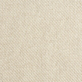 Celsius Cannoli Ivory