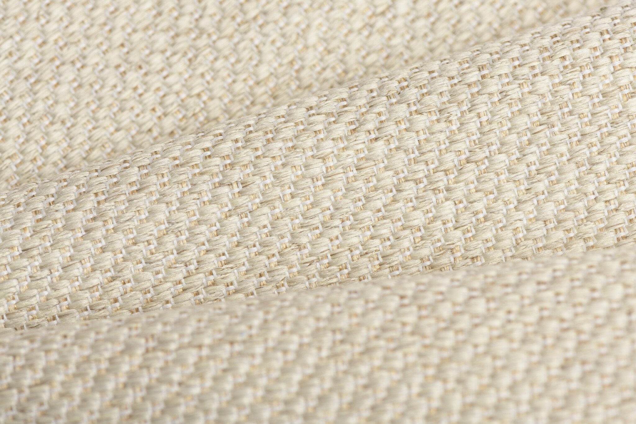 Celsius Cannoli Ivory