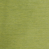 Celsius Colton Apple Green