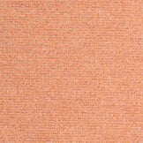 Celsius Anabas Sun Kissed