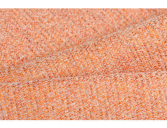 Celsius Anabas Sun Kissed