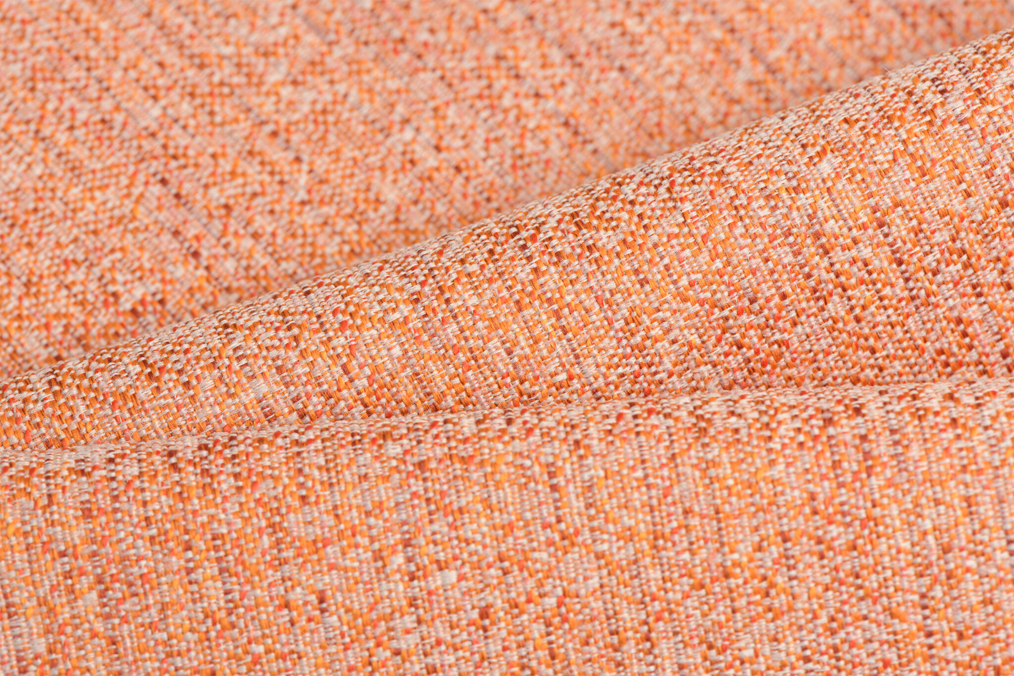 Celsius Anabas Sun Kissed