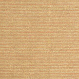 Celsius Anabas Apricot