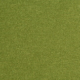 Celsius Maldives Apple Green