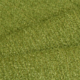 Celsius Maldives Apple Green