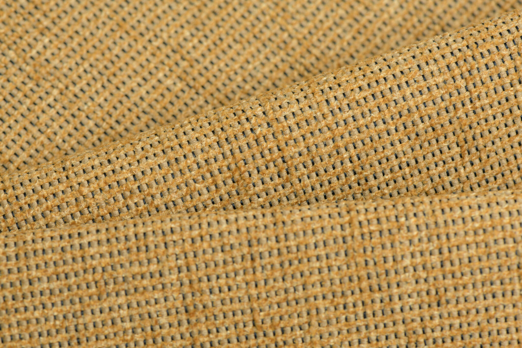 Celsius Cheval Butterscotch