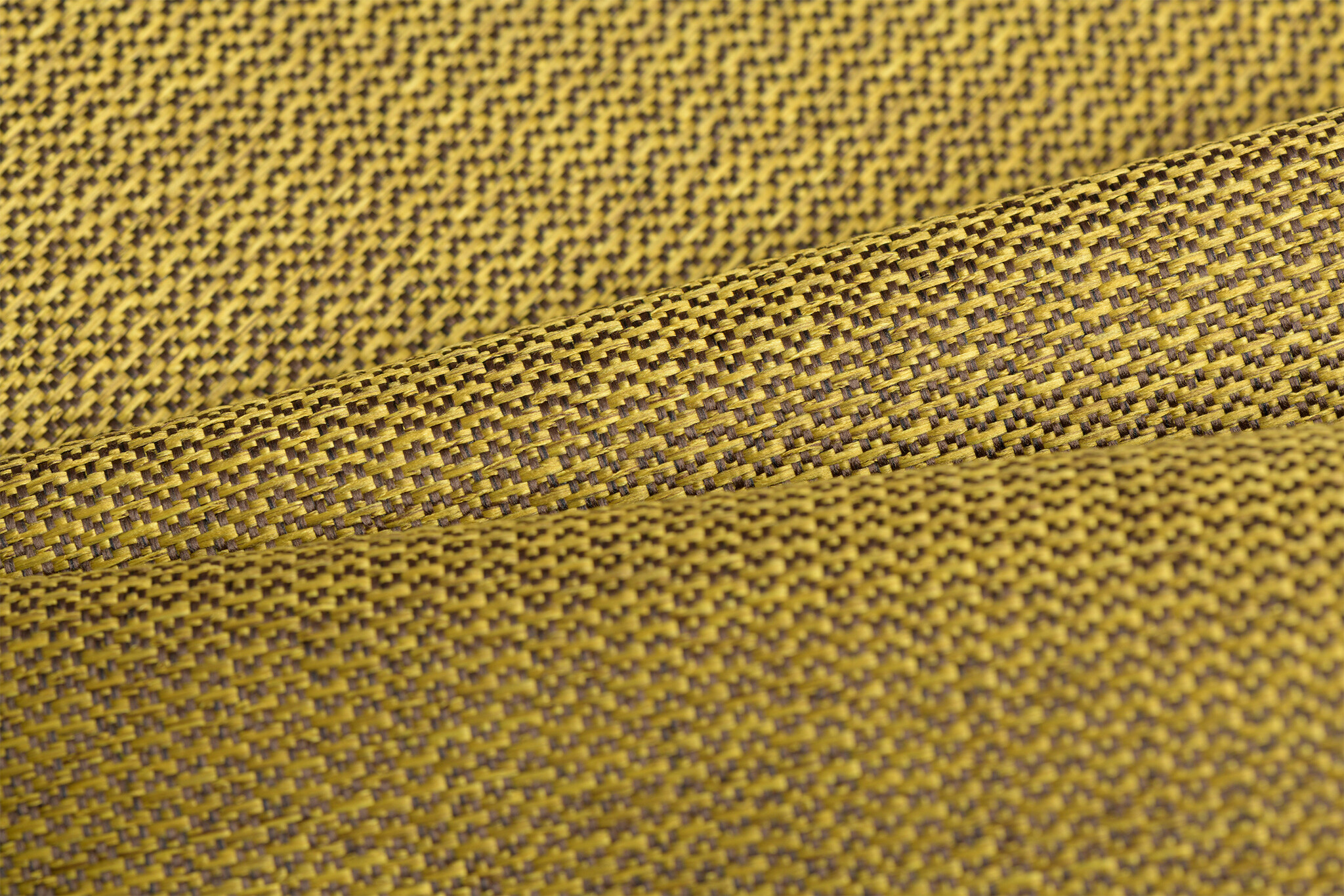 Celsius Muraco Citrus