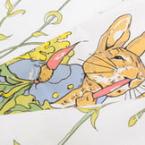 Katoen Poplin Beatrix Potter Peter Rabbit Paneel