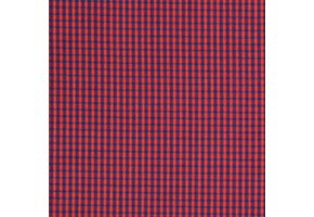 Hollandse ruitjes - bontjes rood met blauw en ecru