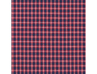 Hollandse ruitjes - bontjes rood met d.blauw en ecru