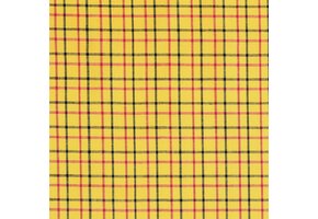 Hollandse ruitjes - bontjes goud geel met rood en zwart