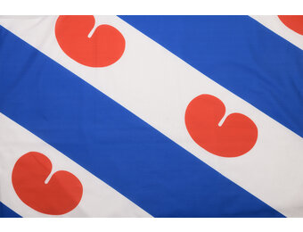 Katoen Stof Friese Vlag Groot
