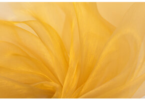 Organza Two-Tone Goud - Ecru