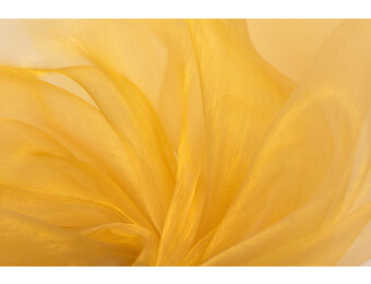 Organza Two-Tone Goud - Ecru