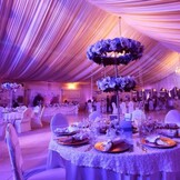 Burlington Brandvertragend Per Rol 30 meter - 280 cm Breed - Roze