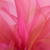 Organza Two-Tone Roze - Goud