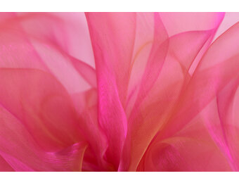 Organza Two-Tone Roze - Goud