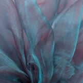 Organza Two-Tone Turkooisblauw - Rood