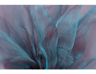Organza Two-Tone Turkooisblauw - Rood