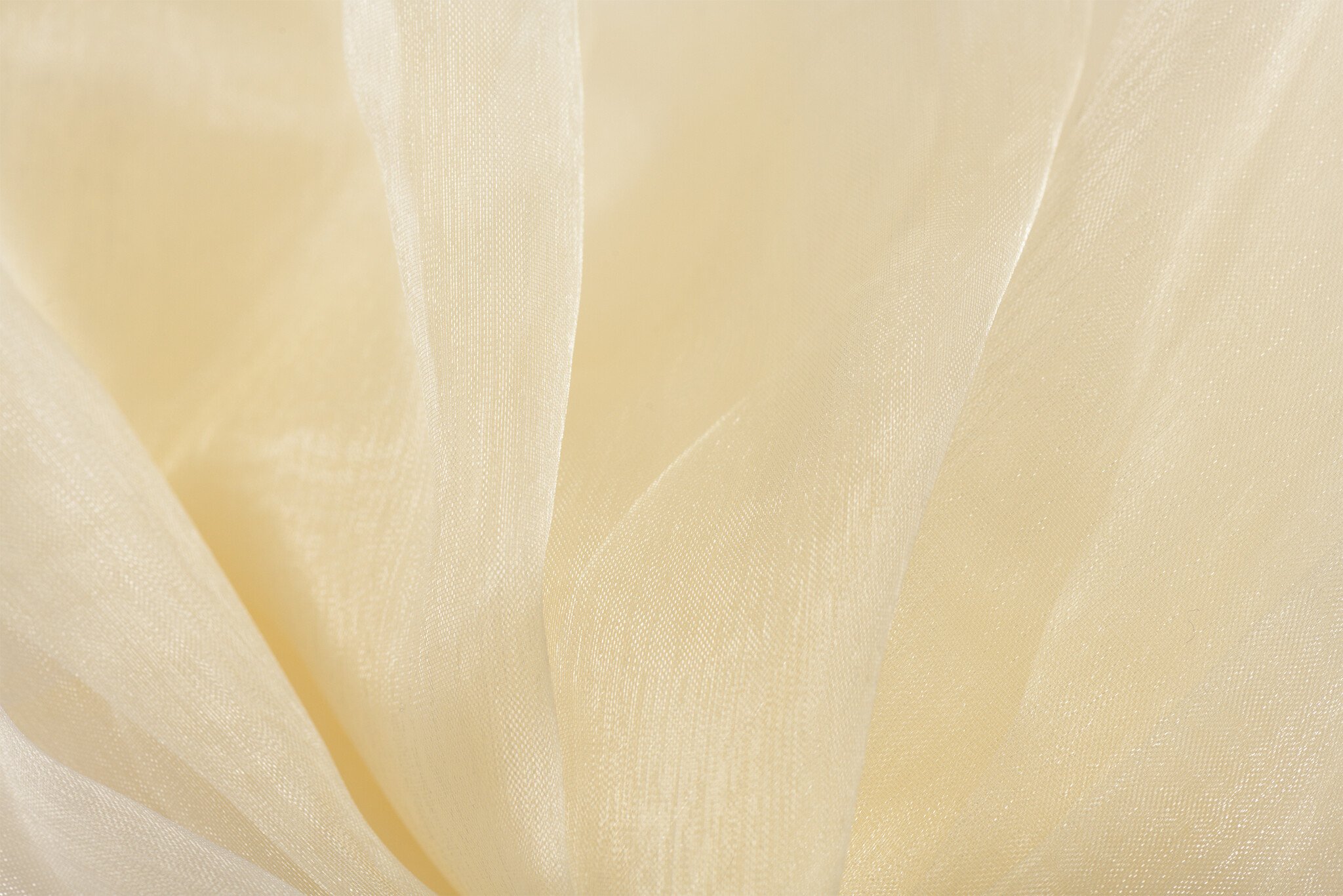 Organza Creme