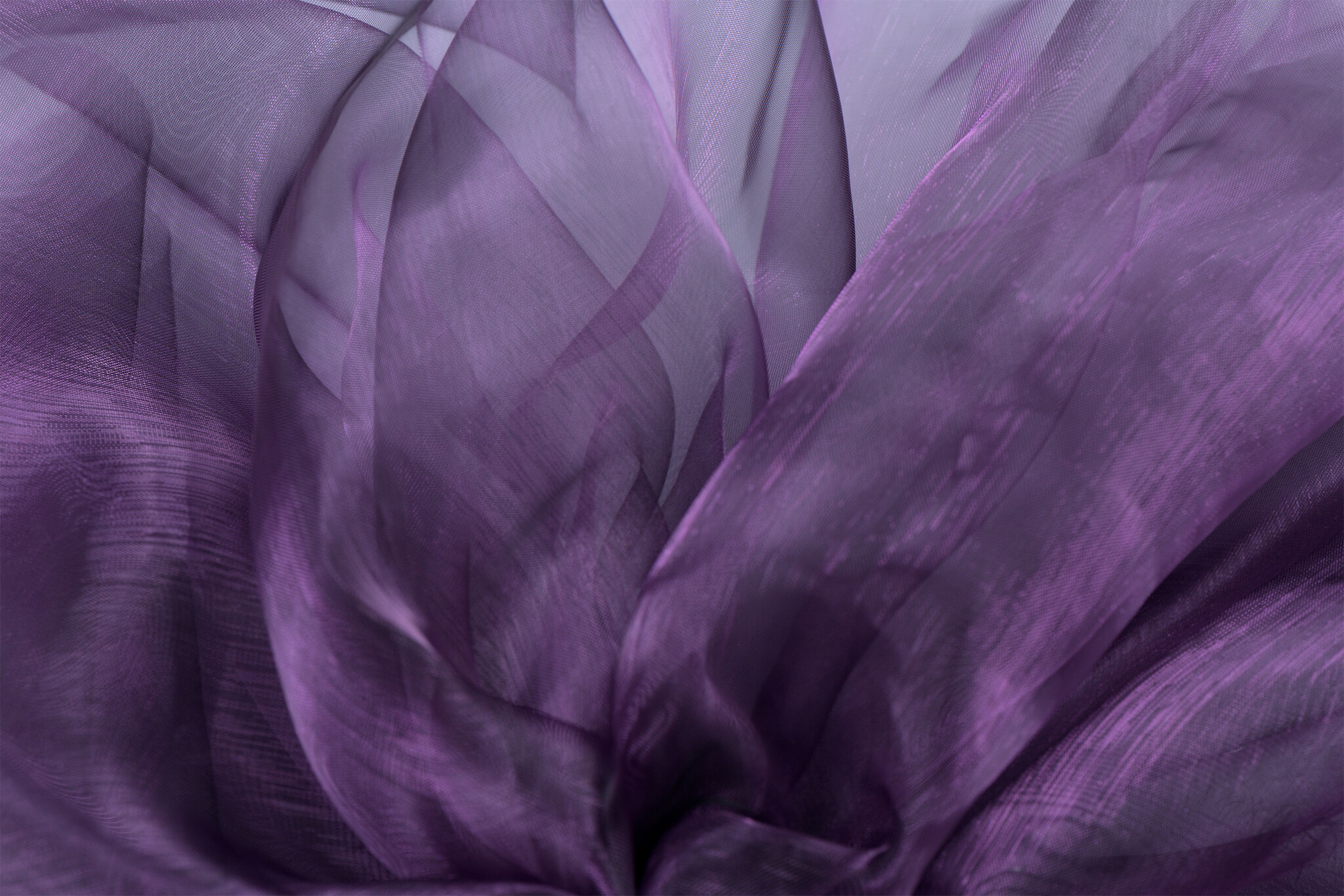 Organza Two-Tone Lila - Zwart