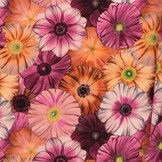 Jersey Katoen Stof Digitale Print - Bloemendroom