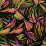 Sweat Stof Brushed Digitaal Aardetint Lelies