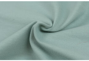 Katoenen Jersey Zeegroen