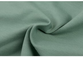 Katoenen Jersey Licht Oud Groen