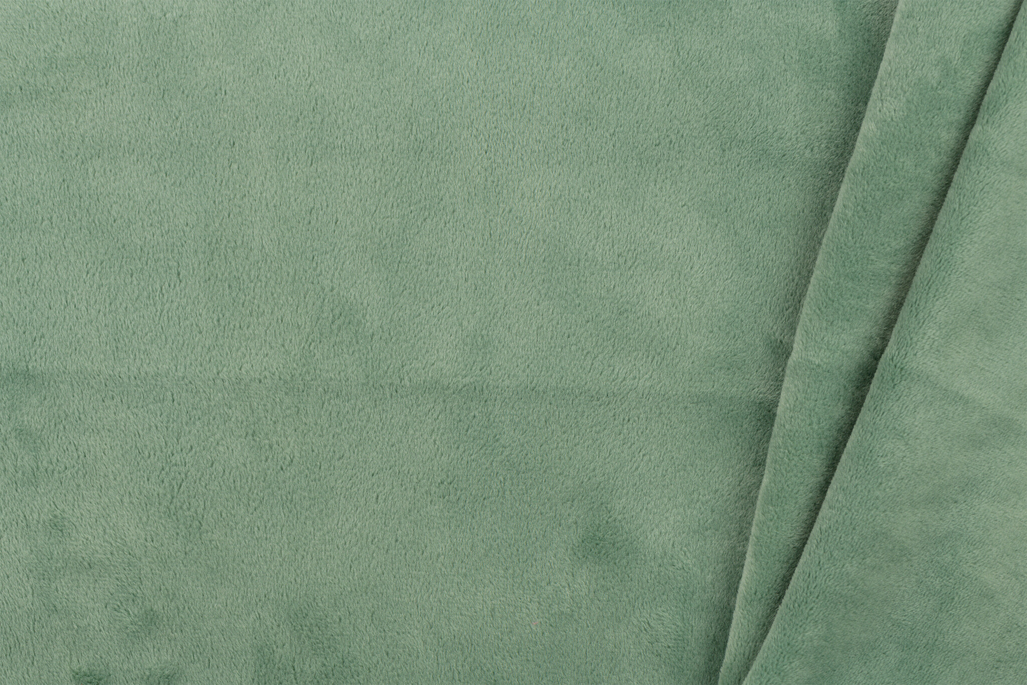Minky Fleece Plain Rozemarijn