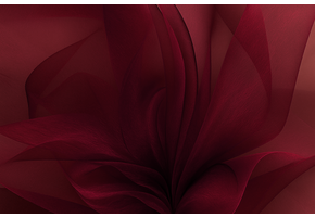 Organza Two-Tone Donkerrood - Zwart