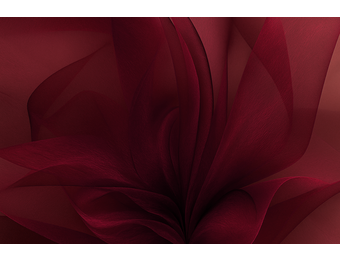 Organza Two-Tone Donkerrood - Zwart