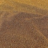 Glamorous Glitter – Lurex Jersey Goud – Trendy & Stijlvol