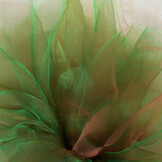 Organza Two-Tone Groen-Rood – Glanzend & Veelzijdig