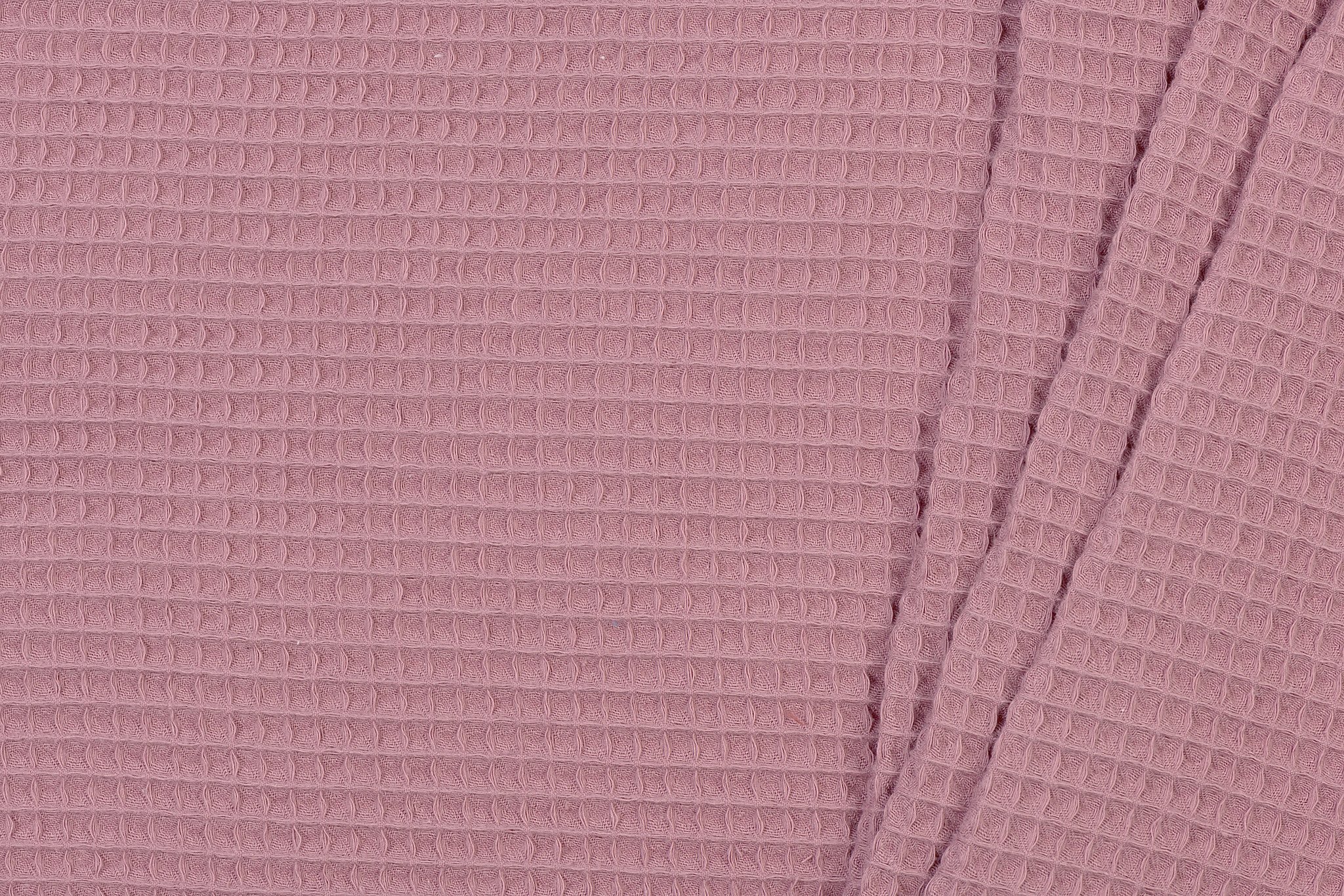 Wafel Katoen, Old Rose