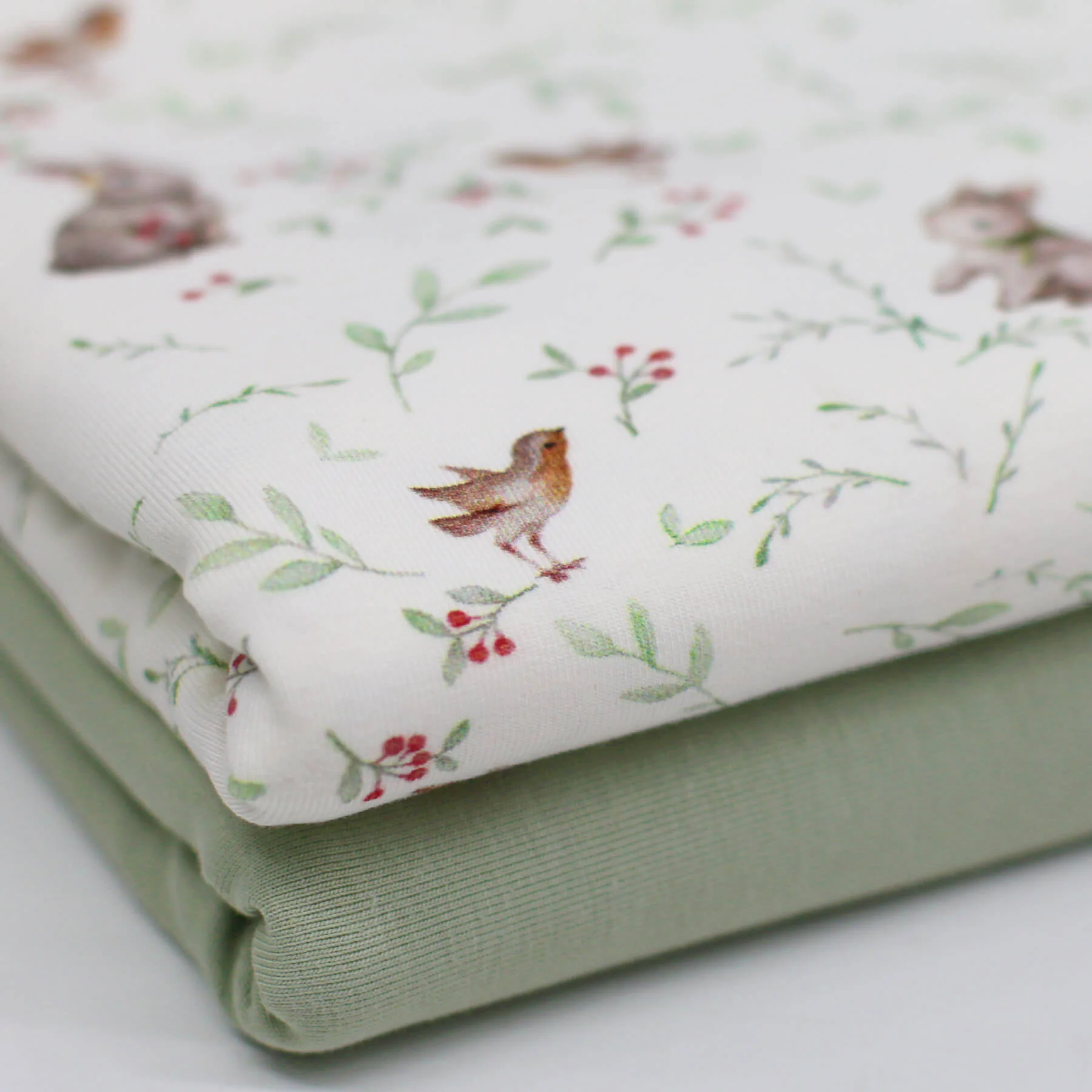 Jersey Katoen Digitale Print - Roodborstje Met Konijn