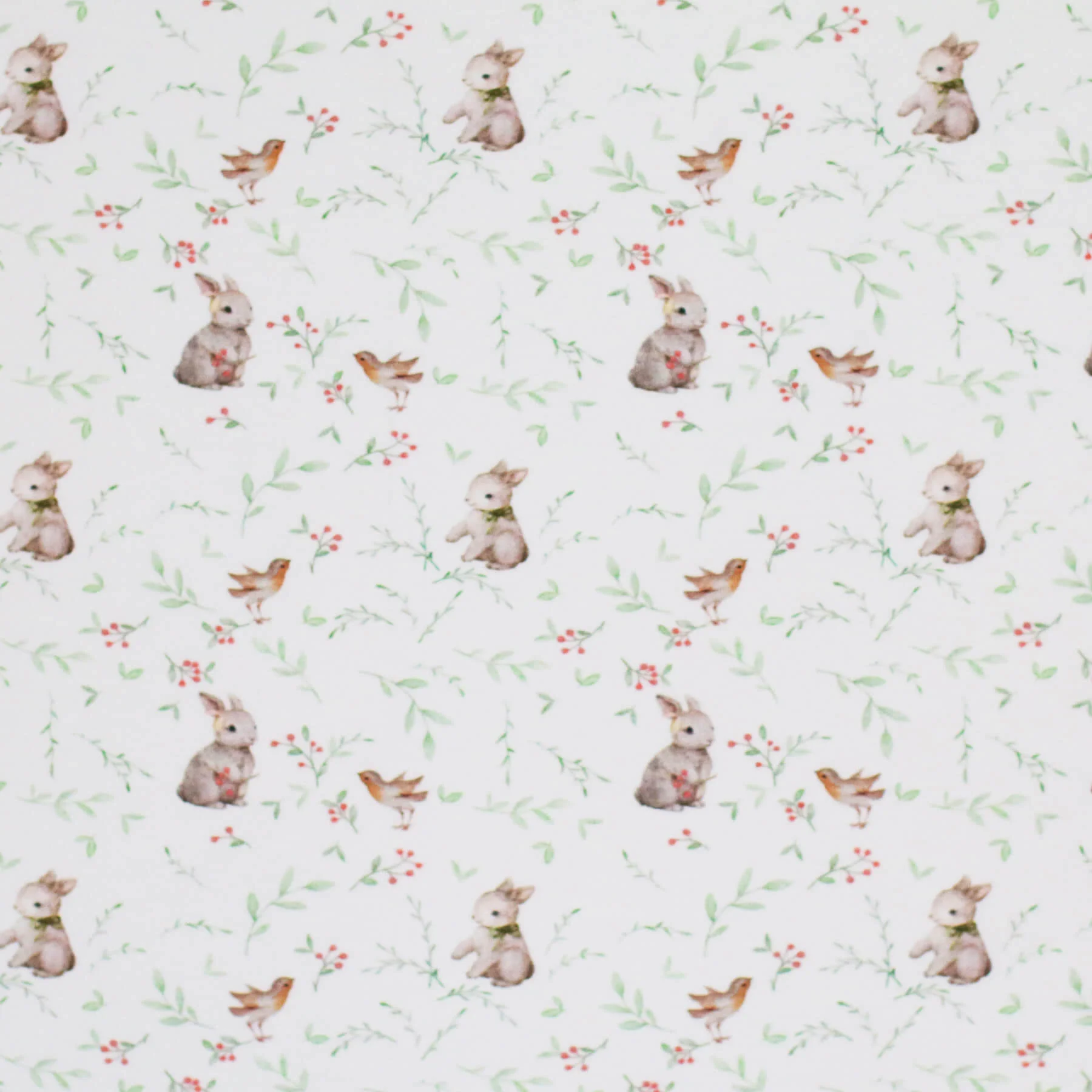 Jersey Katoen Digitale Print - Roodborstje Met Konijn