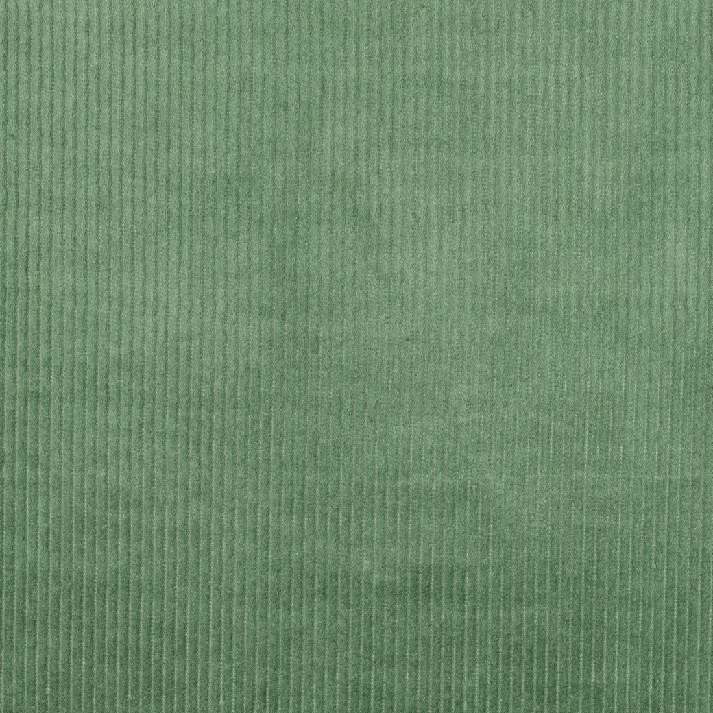 Brede Ribcord Katoen Basilicum Groen – Zacht, Stevig & Oeko-Tex