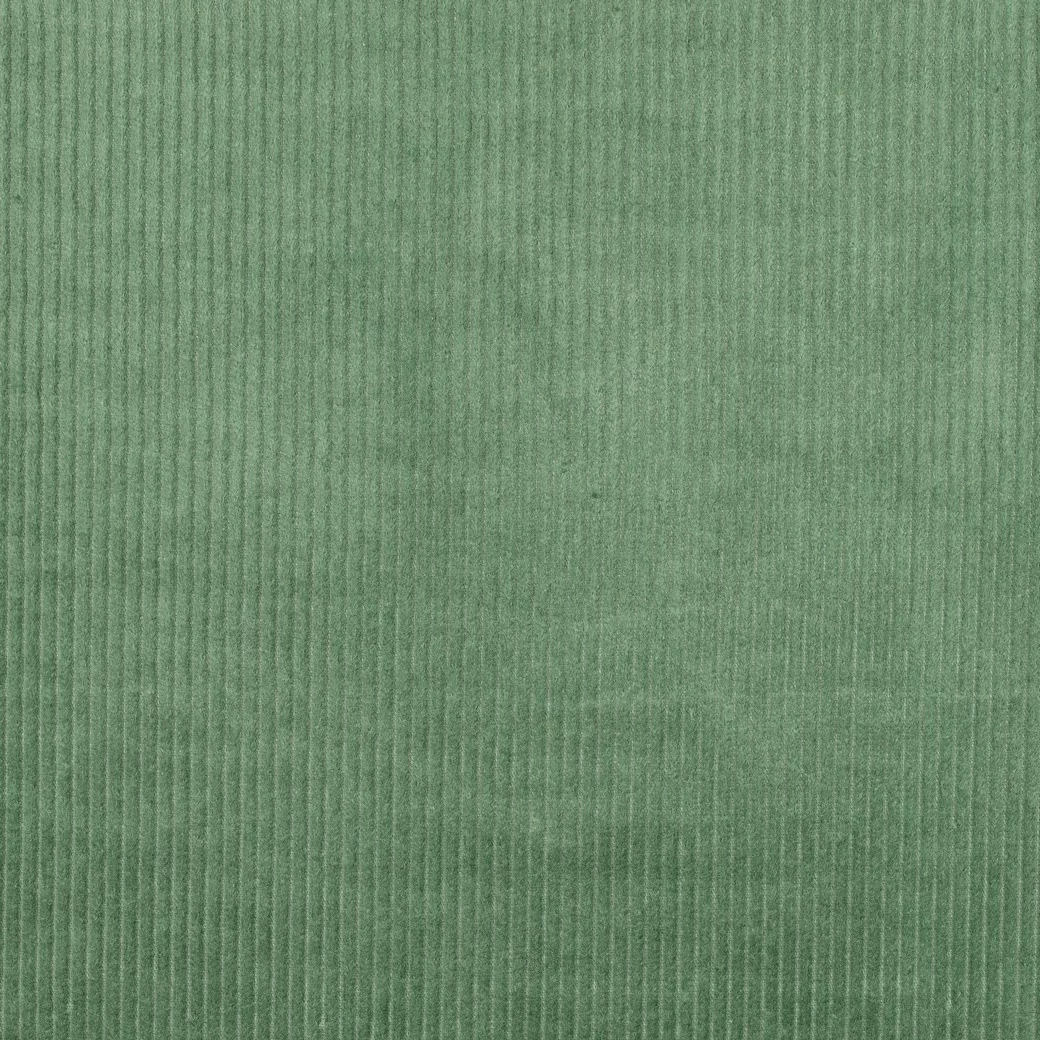 Brede Ribcord Katoen Basilicum Groen – Zacht, Stevig & Oeko-Tex
