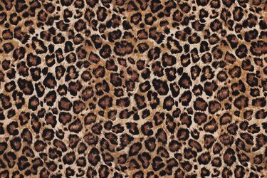 Jersey Katoen Stof Digitale Print – Panter Camel