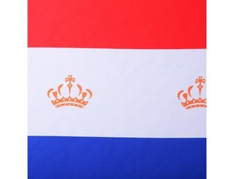 Nederlandse vlag Koningsstof