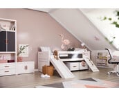 Cabin Bed Climb and Slide