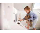 Cabin Bed Climb and Slide