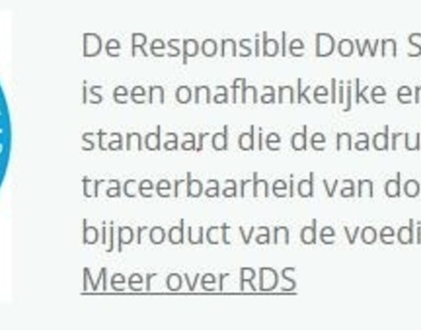 4- Seizoenen Dekbed Castella Aurora Ganzendons