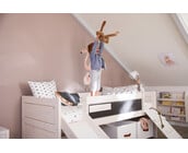 Cabin Bed Climb and Slide
