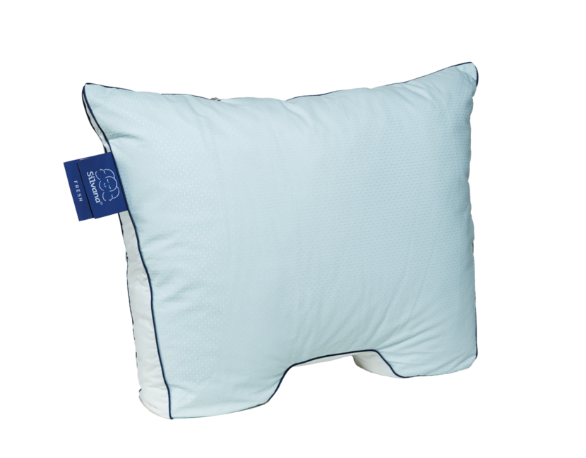 Silvana Fresh kussen