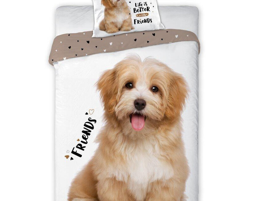 Dekbedovertrek Friends