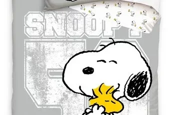 Dekbedovertrek, Friends